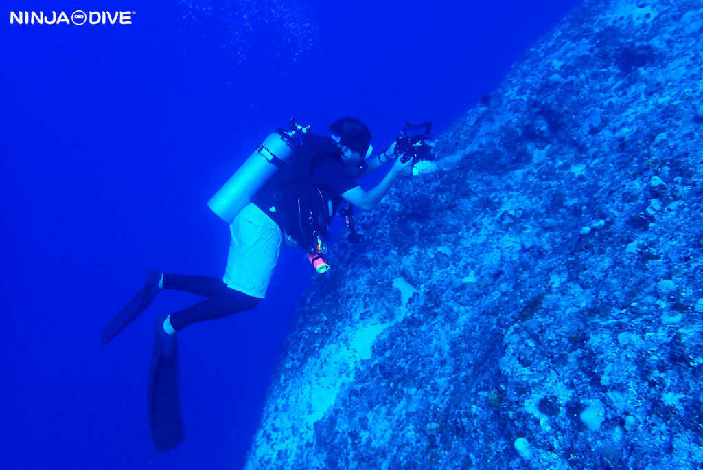 NINJA DIVE 忍者ダイブ 貸し切り プライベート チャーター ファンダイビング ボートダイビング ビーチダイビング シュノーケリング グアム ダイビング ビギナー 初心者 少人数 ブランク ビギナー ブルーホール サロンパス スミレナガハナダイ マクロ セクシーシュリンプ イソギンチャクモエビ