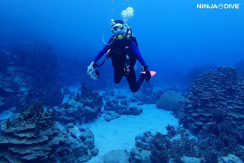 NINJA DIVE 忍者ダイブ 貸し切り プライベート チャーター ファンダイビング ボートダイビング ビーチダイビング シュノーケリング グアム ダイビング ビギナー 初心者 少人数 ブランク ビギナー 洞窟 ブルーホール 沈船 アメリカンタンカー おひとりさま 女子旅