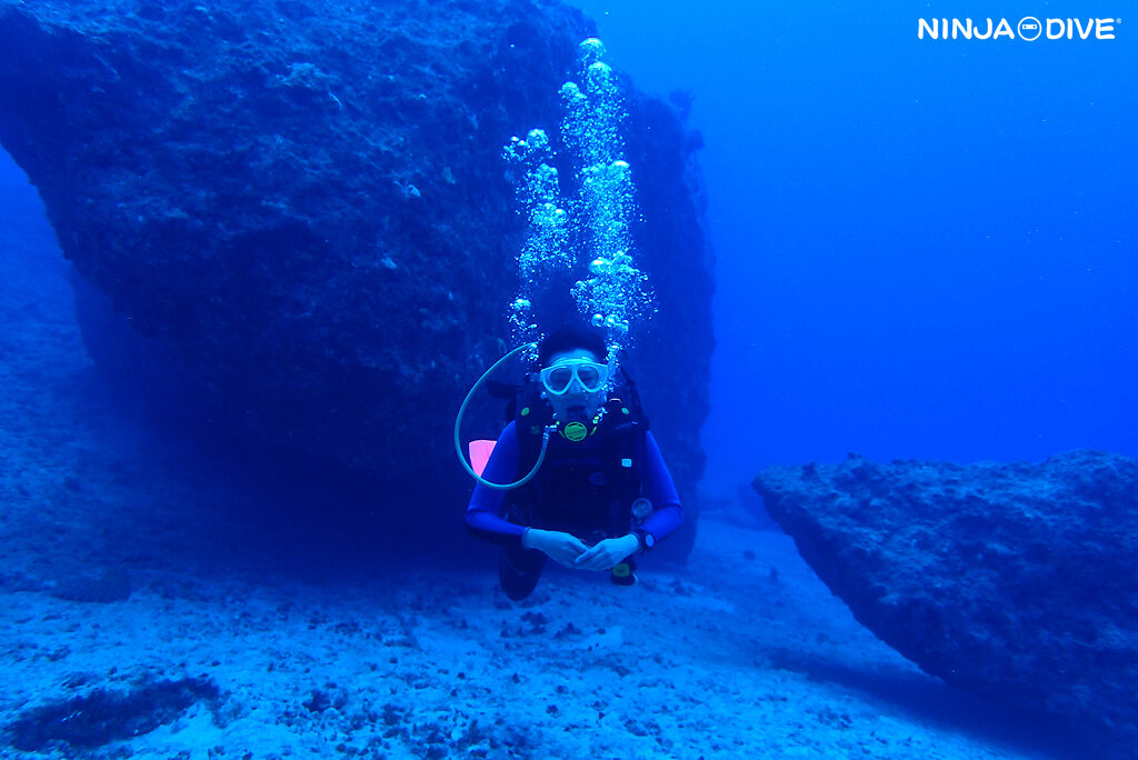 NINJA DIVE 忍者ダイブ 貸し切り プライベート チャーター ファンダイビング ボートダイビング ビーチダイビング シュノーケリング グアム ダイビング ビギナー 初心者 少人数 ブランク ビギナー 洞窟 ブルーホール アメリカンタンカー 沈船 レック おひとりさま リフレッシュダイビング