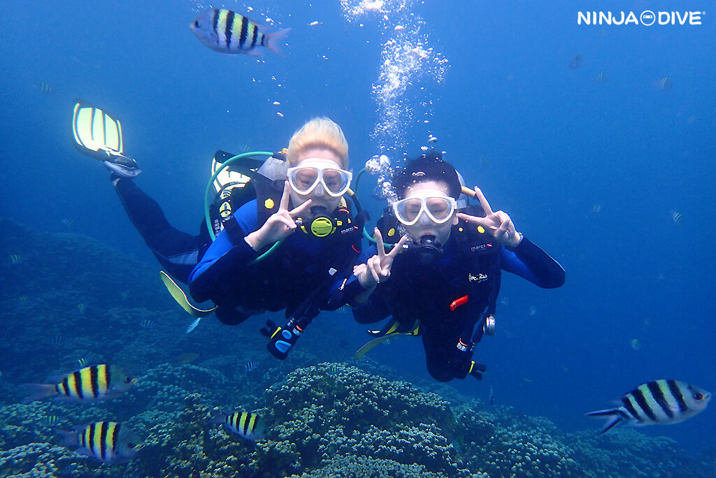 NINJA DIVE 忍者ダイブ 貸し切り プライベート ビーチダイビング グアム ファンダイビング ビギナー 初心者 ダイビングショップ 水中展望台 お魚いっぱい ピティボムホール 1ビーチ1ボート フィンガーリーフ 親子 母娘