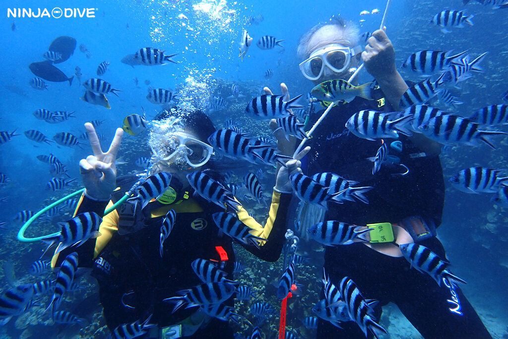 NINJA DIVE 忍者ダイブ 貸し切り プライベート ビーチダイビング グアム 体験ダイビング ビギナー 初心者 ダイビングショップ 水中展望台 お魚いっぱい 親子 ピティボムホール