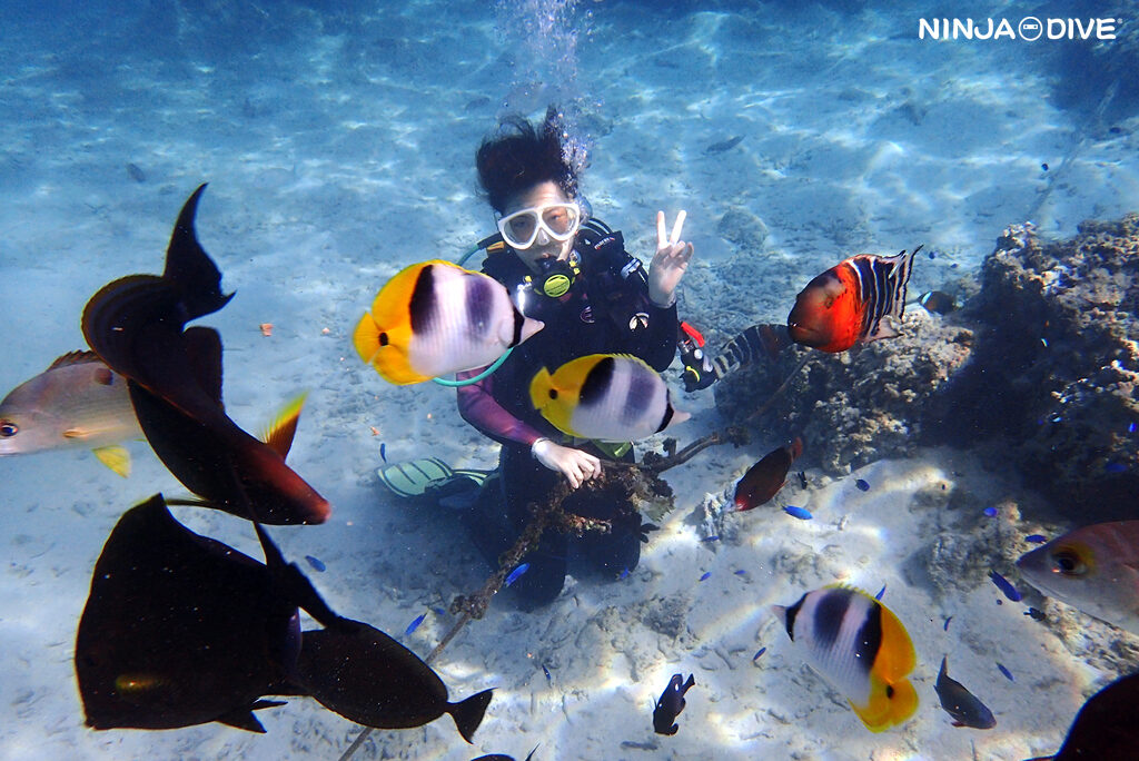 NINJA DIVE 忍者ダイブ 貸し切り プライベート ビーチダイビング グアム 体験ダイビング ビギナー 初心者 ダイビングショップ お魚いっぱい カップル おひとりさま リフレッシュダイビング ブランク 体験ダイビング 女子旅