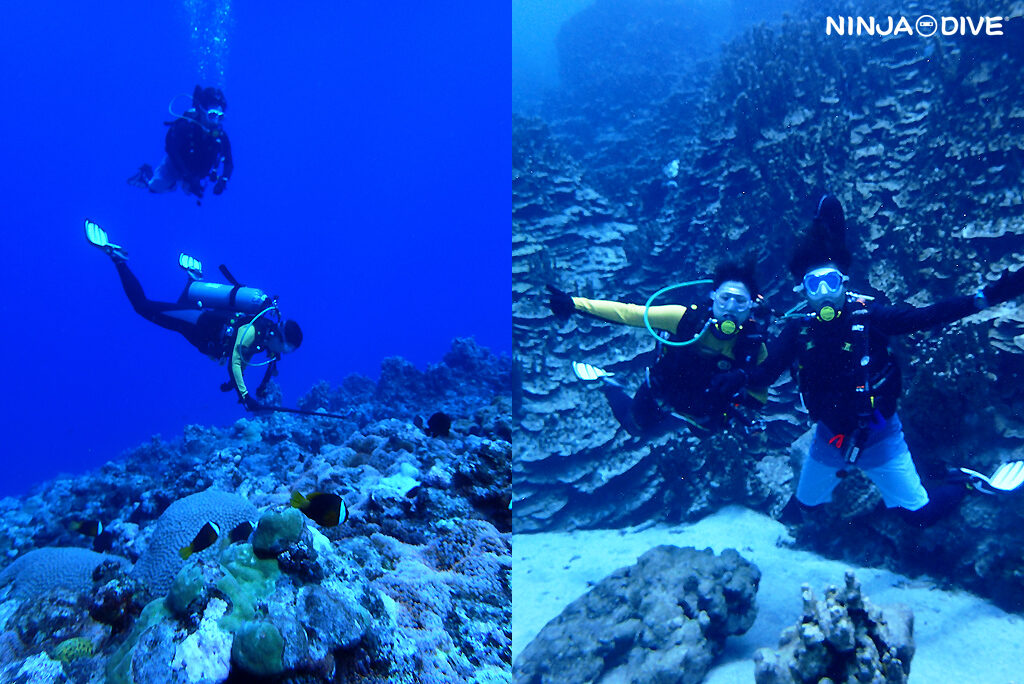 NINJA DIVE 忍者ダイブ 貸し切り プライベート ビーチダイビング グアム 体験ダイビング ビギナー 初心者 ダイビングショップ お魚いっぱい カップル 新婚さん アメリカンタンカー ブルーアンドホワイト レックダイビング 固有種 クマノミ