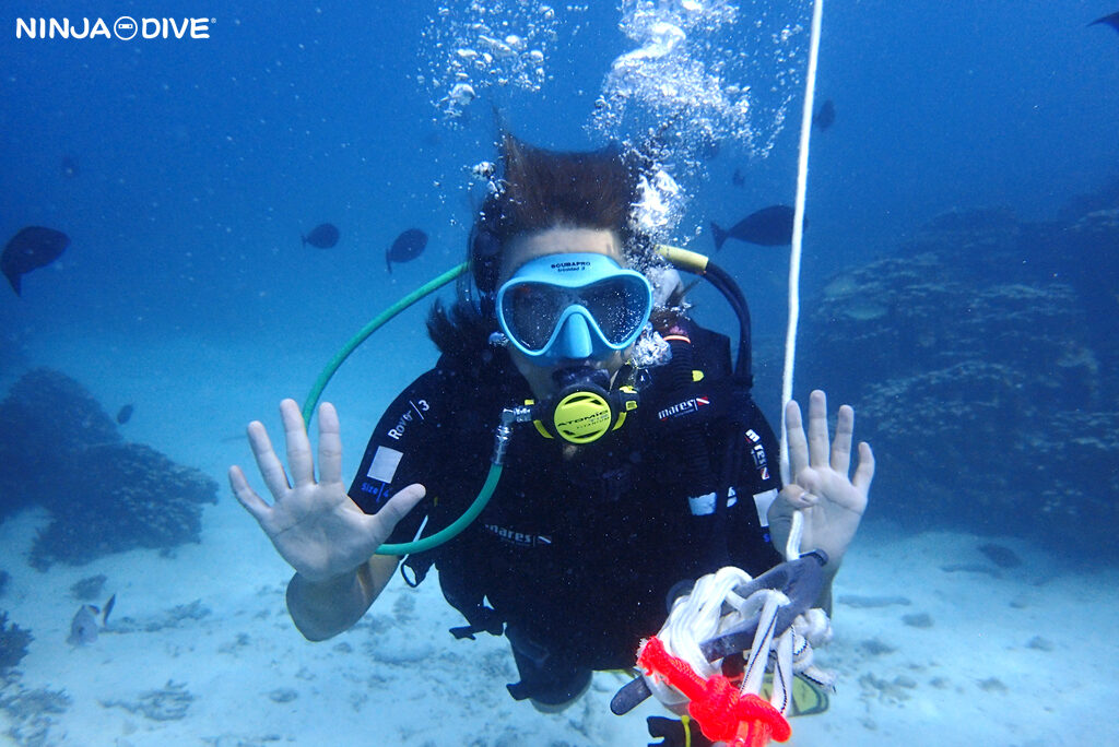 NINJA DIVE 忍者ダイブ 貸し切り プライベート ビーチダイビング グアム 体験ダイビング ビギナー 初心者 ダイビングショップ お魚いっぱい カップル おひとりさま リフレッシュダイビング ブランク 体験ダイビング 女子旅