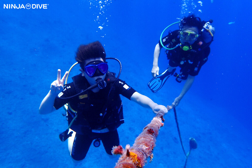 NINJA DIVE 忍者ダイブ 貸し切り プライベート ビーチダイビング グアム 体験ダイビング ビギナー 初心者 ダイビングショップ お魚いっぱい カップル アウトハウスビーチ 沈飛行機 バルボンバー レックダイビング