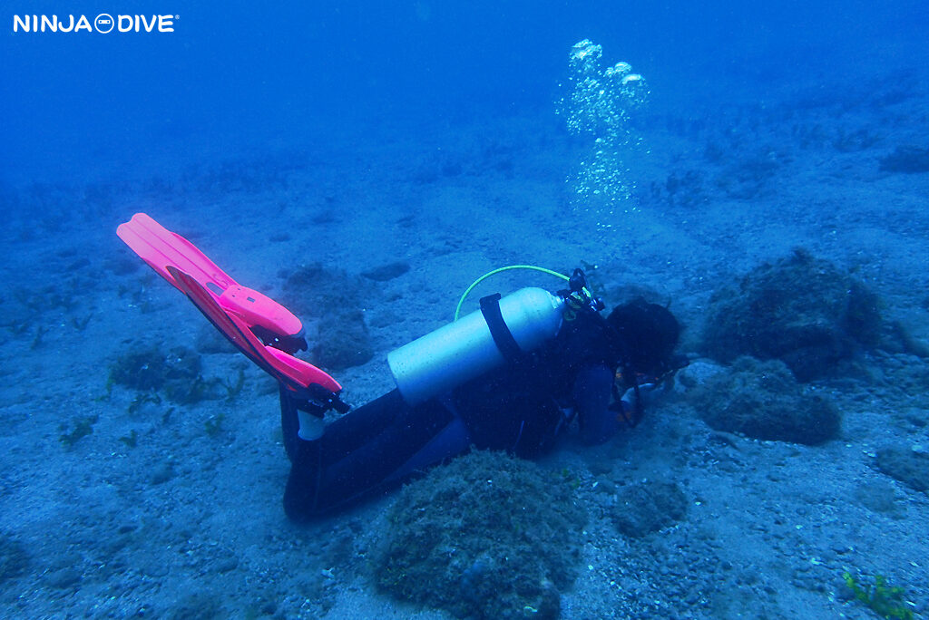 NINJA DIVE 忍者ダイブ 貸し切り プライベート ビーチダイビング グアム ファンダイビング ビギナー 初心者 ダイビングショップ マクロ ビーチダイビング ウミウシ クロスジウロコ