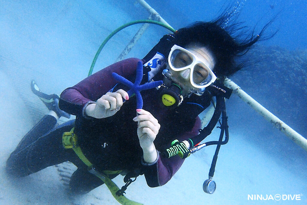 NINJA DIVE 忍者ダイブ 貸し切り プライベート ビーチダイビング グアム 体験ダイビング ビギナー 初心者 ダイビングショップ 水中展望台 お魚いっぱい 親子 ピティボムホール パラセーリング