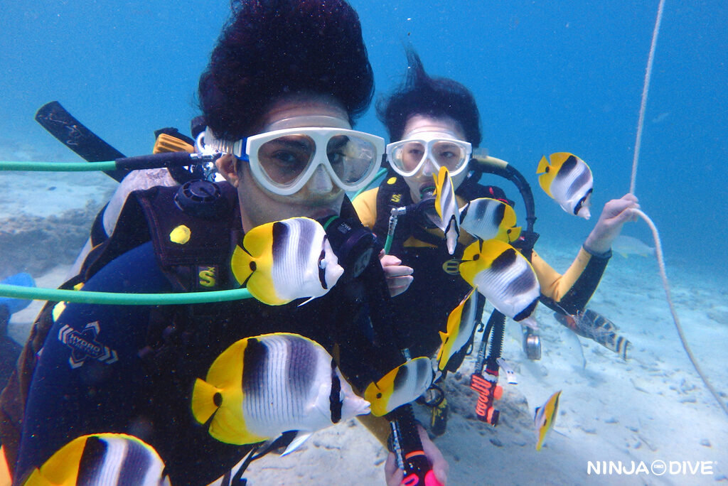 NINJA DIVE 忍者ダイブ 貸し切り プライベート ビーチダイビング グアム 体験ダイビング ビギナー 初心者 ダイビングショップ お魚いっぱい カップル 新婚旅行