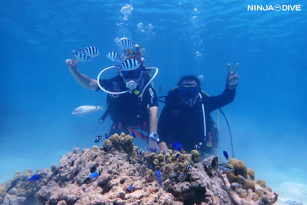 NINJA DIVE 忍者ダイブ 貸し切り プライベート チャーター ファンダイビング ボートダイビング ビーチダイビング シュノーケリング グアム ダイビング ビギナー 初心者 少人数 ブランク おひとりさま カップル シニア ライセンス スクーバダイバー