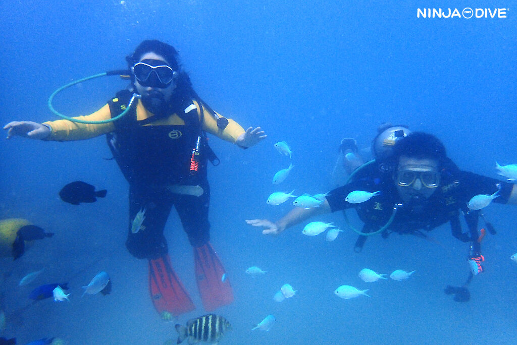 NINJA DIVE 忍者ダイブ 貸し切り プライベート ビーチダイビング グアム 体験ダイビング ビギナー 初心者 ダイビングショップ お魚いっぱい カップル 新婚旅行 卒御意旅行 ビギナー