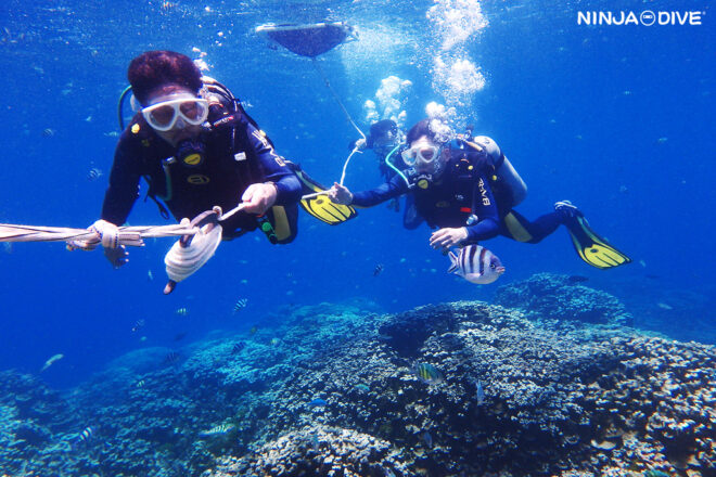 NINJA DIVE 忍者ダイブ 貸し切り プライベート ビーチダイビング グアム 体験ダイビング ビギナー 初心者 ダイビングショップ 水中展望台 お魚いっぱい ピティボムホール 1ビーチ1ボート 社員旅行 カメ