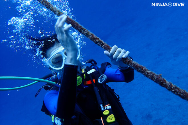 NINJA DIVE 忍者ダイブ 貸し切り プライベート チャーター ファンダイビング ボートダイビング ビーチダイビング シュノーケリング グアム ダイビング ビギナー 初心者 少人数 ブランク ビギナー 洞窟 ブルーホール アメリカンタンカー 沈船 レック おひとりさま リフレッシュダイビング